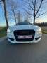 Audi A5 2.0 TDI DPF multitronic Blanc - thumbnail 3