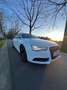Audi A5 2.0 TDI DPF multitronic Blanc - thumbnail 1