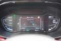 Kia Niro 1.6 GDi Hybrid ExecutiveLine, Leder, Schuif-Kantel Blauw - thumbnail 10