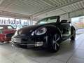 Volkswagen Beetle Beetle Cabriolet 1.2 TSI Design Navigation Sitzhzg Black - thumbnail 5