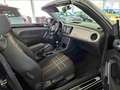 Volkswagen Beetle Beetle Cabriolet 1.2 TSI Design Navigation Sitzhzg Black - thumbnail 9