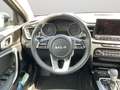 Kia XCeed 1.6 PHEV DCT6 Spirit Technologie-Paket, Gl Grün - thumbnail 13