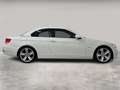 BMW 325 325d cat Cabrio Eletta Bianco - thumbnail 5