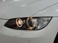BMW 325 325d cat Cabrio Eletta Bianco - thumbnail 10