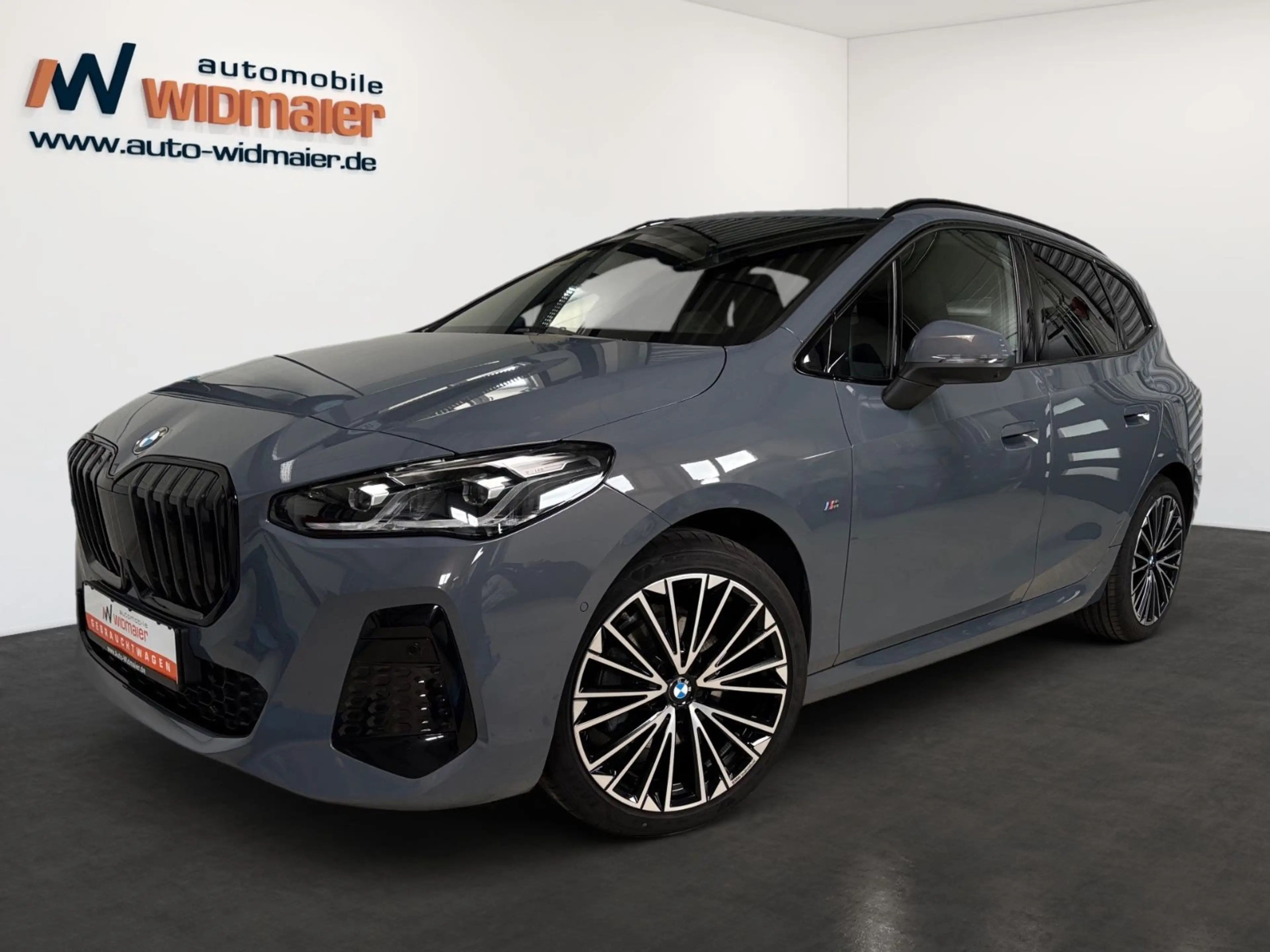 BMW 218 M Sport--AHK/DrivingProf/Pano