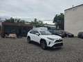 Toyota Sonstige RAV4 2,5 Hybrid Active AWD Weiß - thumbnail 5