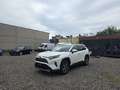 Toyota Sonstige RAV4 2,5 Hybrid Active AWD Weiß - thumbnail 1