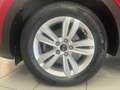Kia Sportage 1.7 crdi BUSINESS CLASS 2wd 115cv UNICO PROPR! Rouge - thumbnail 8