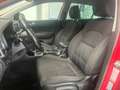 Kia Sportage 1.7 crdi BUSINESS CLASS 2wd 115cv UNICO PROPR! Rouge - thumbnail 10