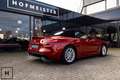 BMW Z4 Roadster sDrive20i High Executive Rojo - thumbnail 13