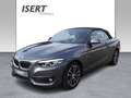 BMW 220 i Cabrio Sport Line A. +RFK+LED+DAB+NAVI+GRA Gris - thumbnail 15
