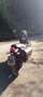 Triumph Street Twin 900 cc anno 2018 Negru - thumbnail 4