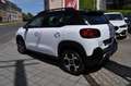 Citroen C3 Aircross PureTech 130 Shine DAB Pano Kamera Alb - thumbnail 3