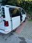 Volkswagen T6 California California Beach Edition Camper 2,0 TDI DSG Beach Edition Camper Weiß - thumbnail 4
