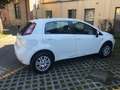 Fiat Punto Punto 5p 1.4 natural power Easy 70cv Weiß - thumbnail 3