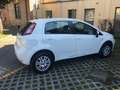 Fiat Punto Punto 5p 1.4 natural power Easy 70cv Bianco - thumbnail 3