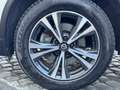 Nissan X-Trail 1.7 dci N-Connecta 4wd x-tronic Bianco - thumbnail 7