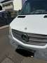 Mercedes-Benz Sprinter 316 CDI (BlueTec) Sprinter 906.633 7G-TRONIC Plus Weiß - thumbnail 5