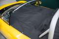 Renault Spider 2.0  Windshield  JAUNE IRISÉ Gelb - thumbnail 36