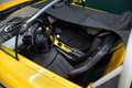 Renault Spider 2.0  Windshield  JAUNE IRISÉ Gelb - thumbnail 38