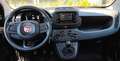 Fiat Panda 4x2 FireFly Hybrid 70 Schwarz - thumbnail 8