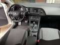 SEAT Leon 1.6 TDI 105 CV DSG 5p. Start/Stop Style PREZZOPROM Blanc - thumbnail 12