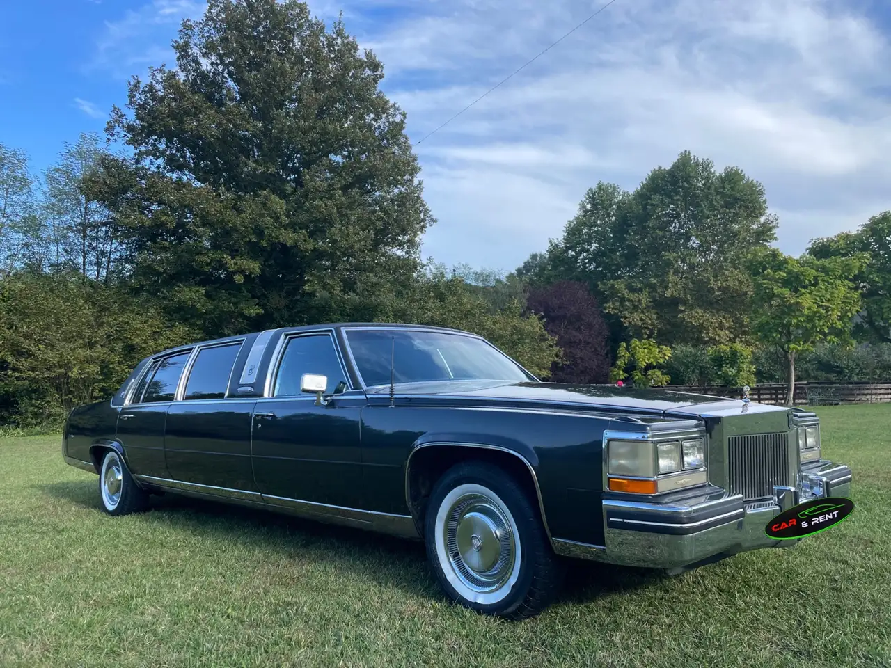 Cadillac Fleetwood Arbuster e stageway silverhawk, foto 3