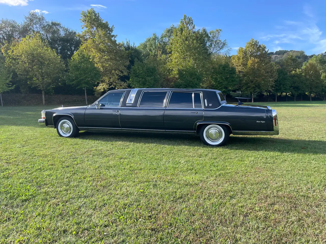 Cadillac Fleetwood Arbuster e stageway silverhawk, foto 6