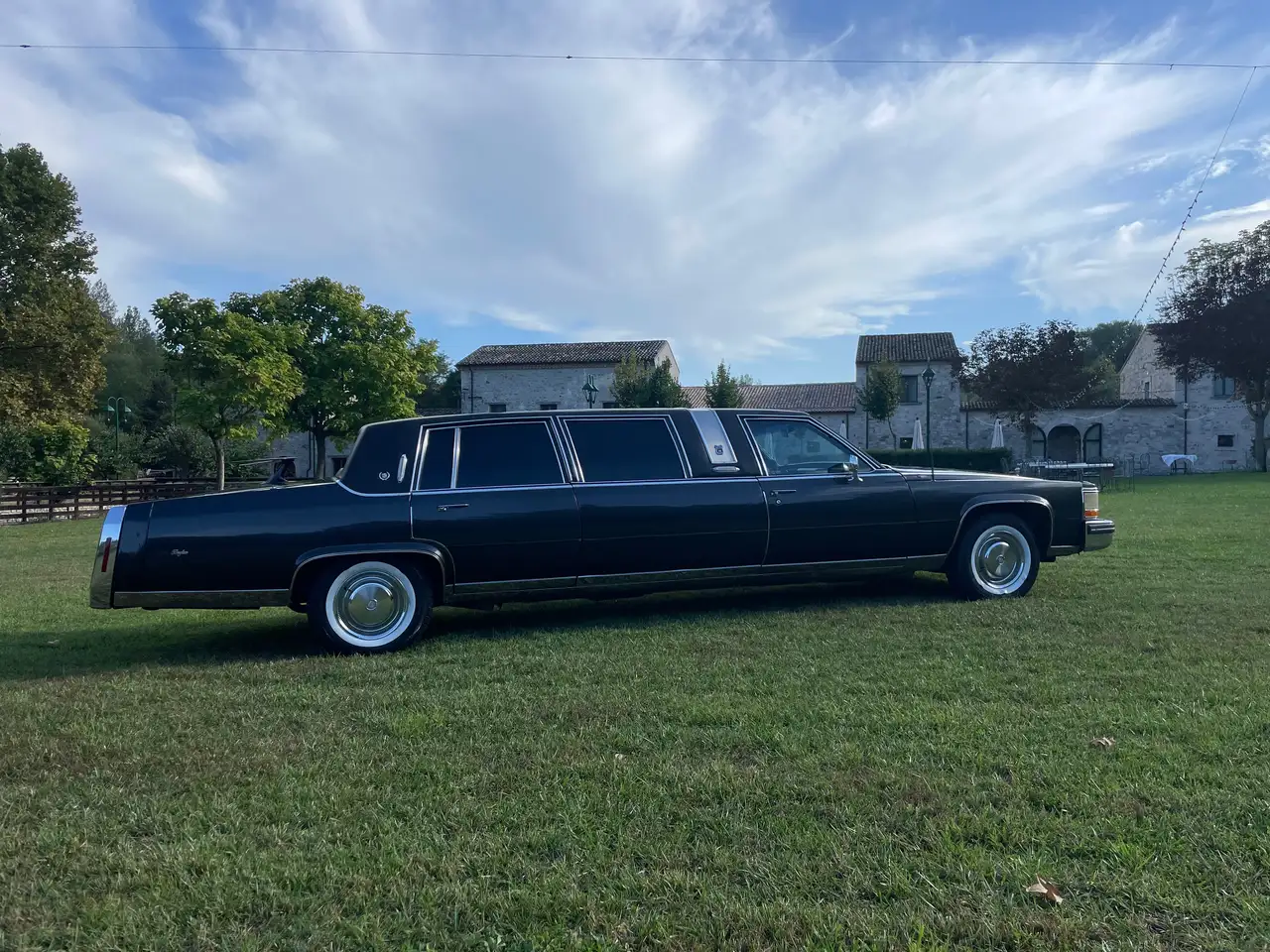Cadillac Fleetwood Arbuster e stageway silverhawk, foto 2