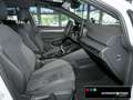 Volkswagen Golf VIII EDITION 50 1.5 TSI ACC+KAMERA+LED+NAVI Blanc - thumbnail 4