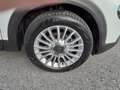 Fiat 500X 1.0 T3 120 CV Connect Bianco - thumbnail 14