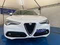 Alfa Romeo Stelvio 2.2 Veloce 180cv auto - PREZZO IN OFFERTA - Wit - thumbnail 2