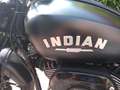 Indian Chief Dark horse Noir - thumbnail 11