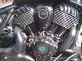 Indian Chief Dark horse Noir - thumbnail 9