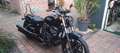Indian Chief Dark horse Noir - thumbnail 4