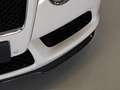 Bentley Continental V8 GT Weiß - thumbnail 19