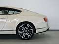 Bentley Continental V8 GT Weiß - thumbnail 16