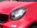 smart forTwo fortwo coupé 52 kW twinamic SHZ, Klimaaautomatik Rot - thumbnail 4