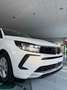 Opel Grandland 1.5 Diesel 131cv Ecotec Edition Automatico EAT8 Blanc - thumbnail 7