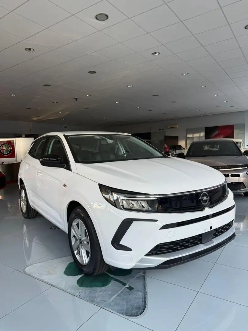 Opel Grandland 1.5 Diesel 131cv Ecotec Edition Automatico EAT8 Bianco - 1