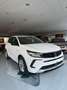 Opel Grandland 1.5 Diesel 131cv Ecotec Edition Automatico EAT8 Blanc - thumbnail 1