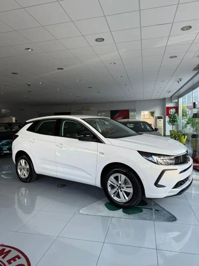 Opel Grandland 1.5 Diesel 131cv Ecotec Edition Automatico EAT8 Bianco - 2