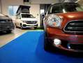 MINI Countryman D 1.6 90cv PACK LED *OK NEOPATENTATO* EURO6B Brun - thumbnail 23