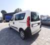 Fiat Doblo EASY 1.3 95CV N1 CARGO MJET COMBI Blanc - thumbnail 15
