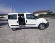Fiat Doblo EASY 1.3 95CV N1 CARGO MJET COMBI Blanc - thumbnail 5