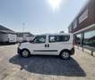 Fiat Doblo EASY 1.3 95CV N1 CARGO MJET COMBI Blanc - thumbnail 7