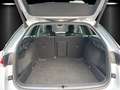 Skoda Octavia Combi 2,0l TDI DSG/LED/ACC/NAVI/SHZ/ Plateado - thumbnail 14