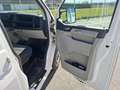 Volkswagen T6 Transporter Volkswagen T6 Pritsche 05/2026 Pickerl Blanc - thumbnail 19