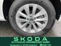 Skoda Kamiq Ambition * MFL, PDC hinten,SHZ, LED, Smart Link Weiß - thumbnail 14