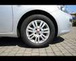 Fiat Punto 1.2 8V 5 porte Young Grigio - thumbnail 14